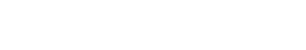 Bayview Vision