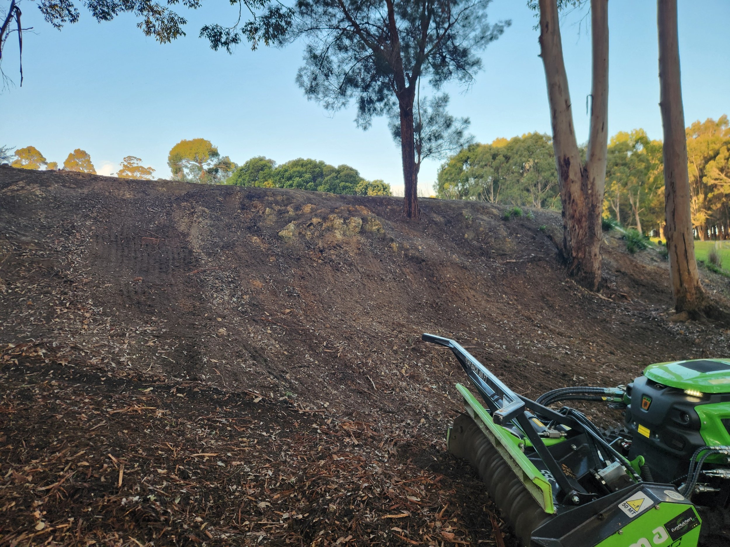 The same steep bank on the day ARC11 finished: fuel mulched into a low, even layer with the trees kept
