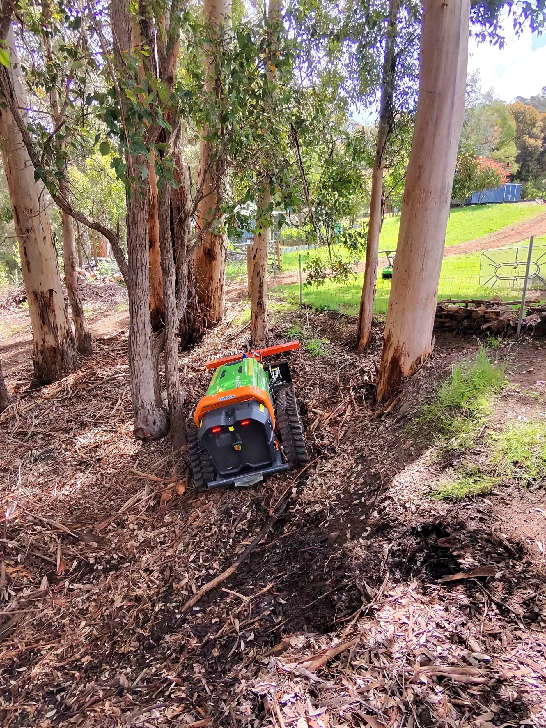 ARC11 remote-controlled machine working between tightly spaced gum trees on a slope, Great Southern WA