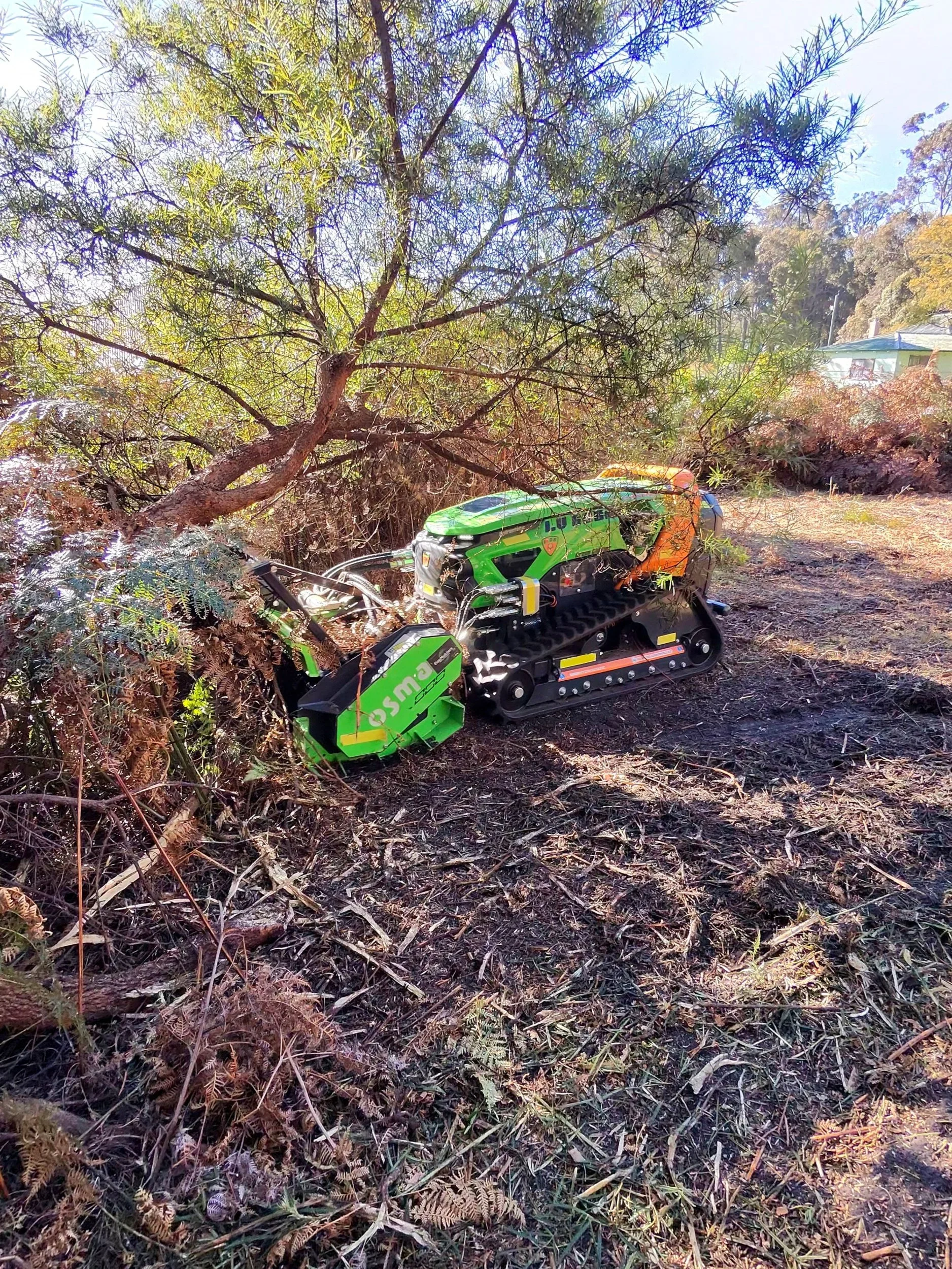 Low-profile ARC11 mulcher clearing bracken and scrub under low tree branches where larger machines can't fit, bushfire fuel load reduction near a home, Great Southern WA