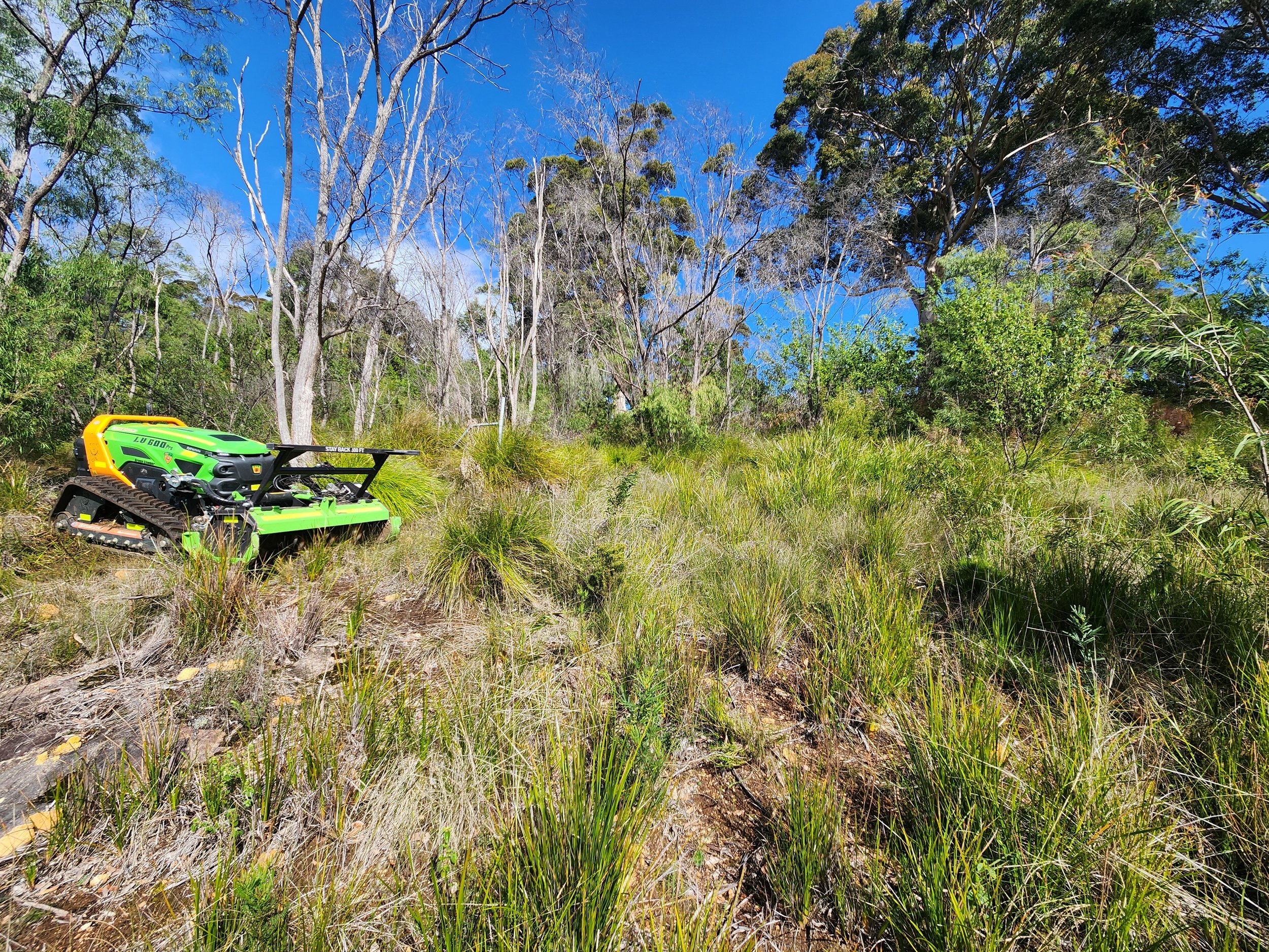ARC11 remote-controlled mulcher clearing dense scrub, Great Southern WA