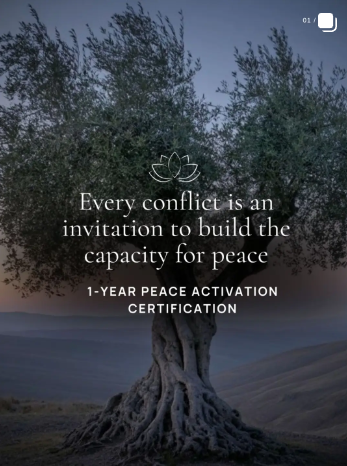 Peace Activation Instagram post