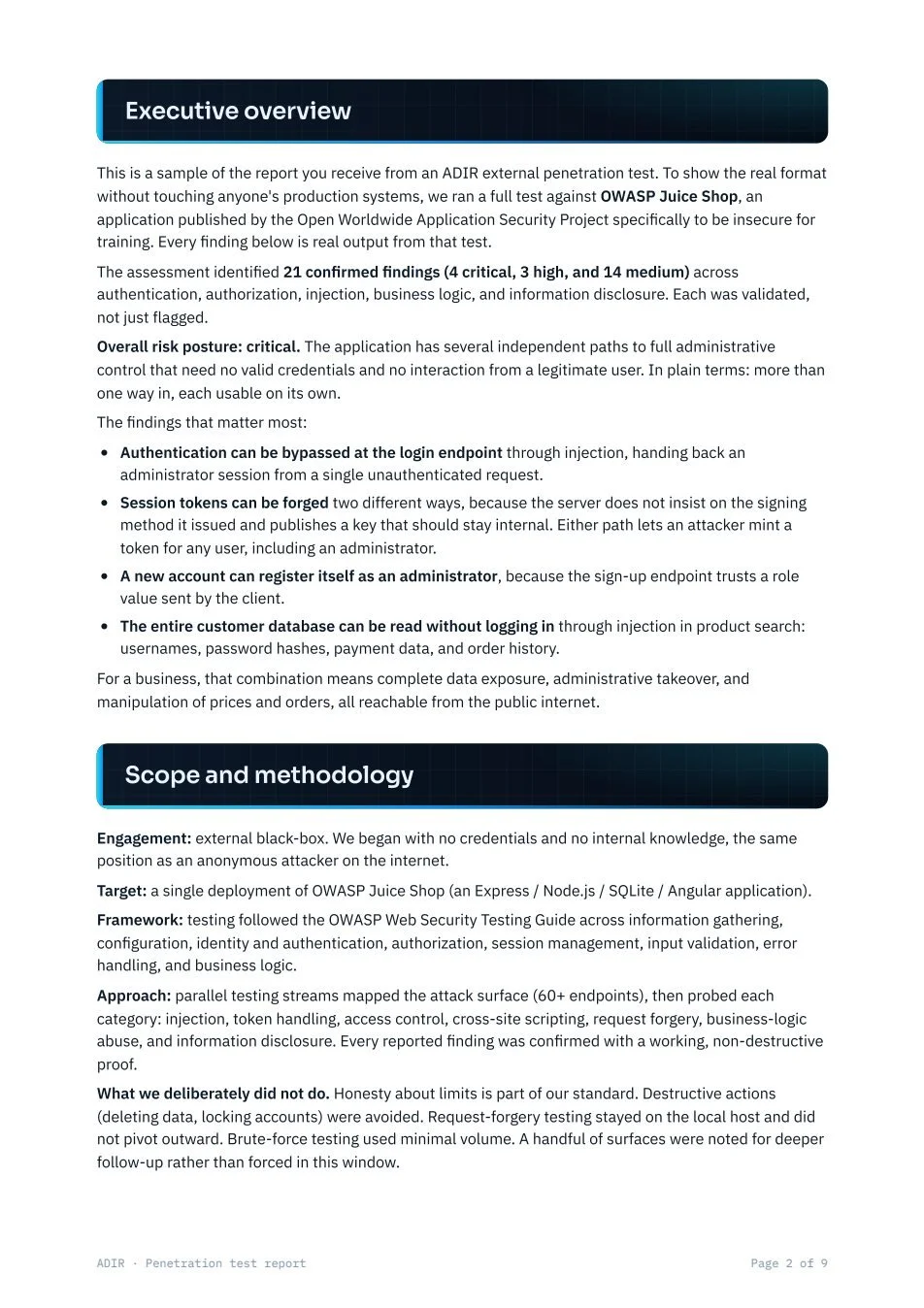 Sample report page 2: Executive overview and scope
