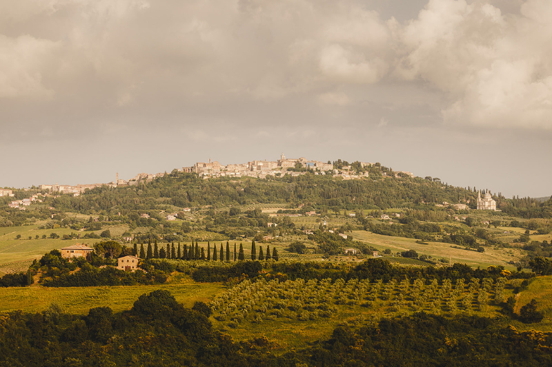 Montalcino on the hill above the Val d'Orcia — cypress lines and olive groves, Tuscany