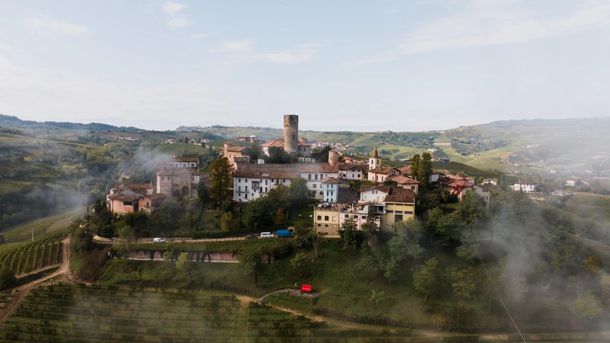 Barolo vineyards in the Langhe hills of Piedmont — autumn harvest light across the vine rows