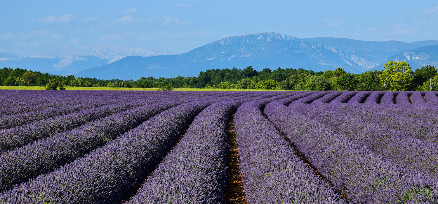 Southern France honeymoon — Luberon village at dusk by The Itinerary Architect