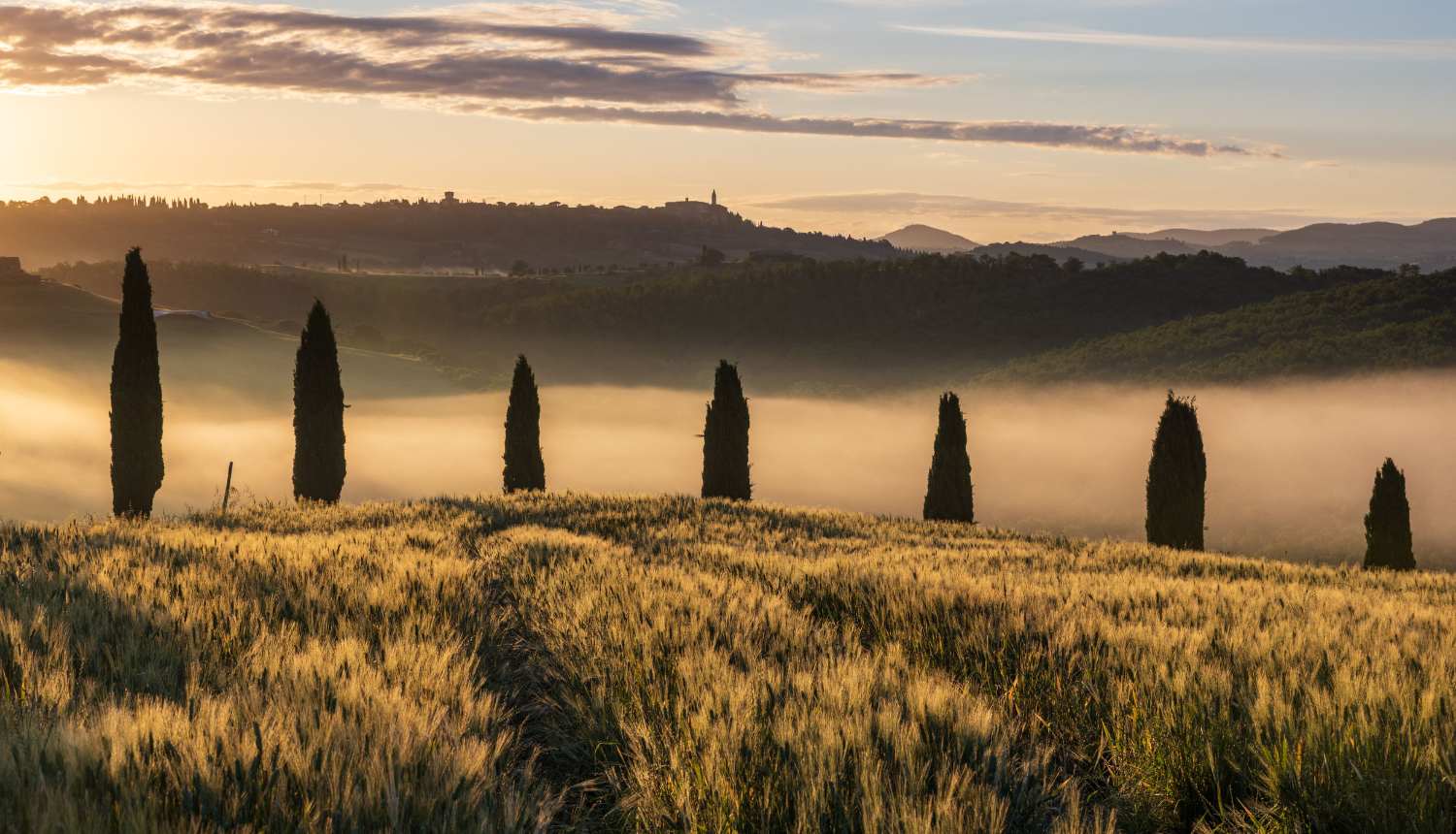 Tuscan countryside beyond Florence — Chianti and Val d'Orcia vineyards in golden light