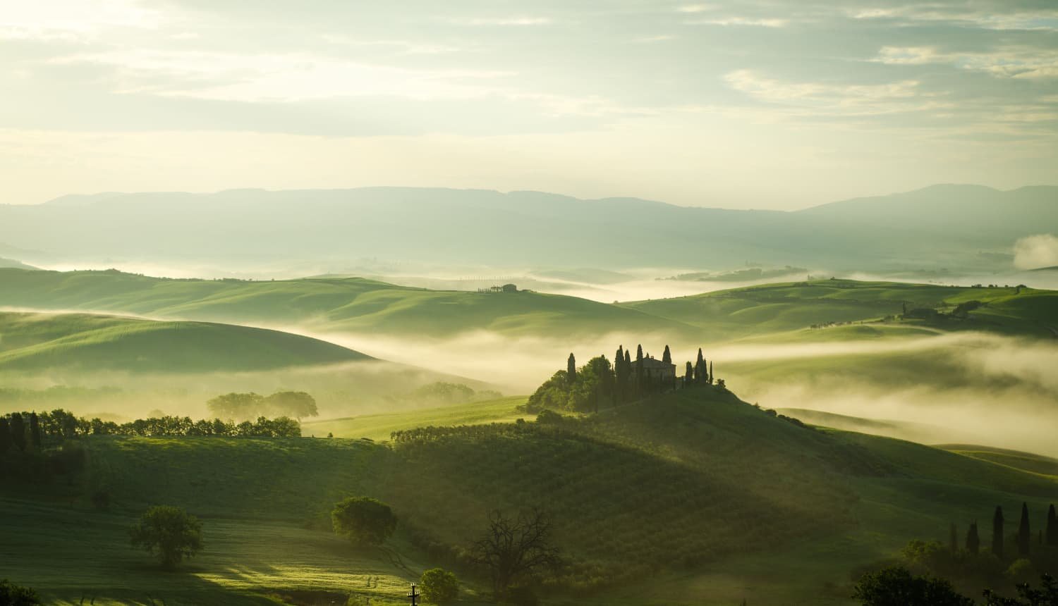 Rolling vineyard hills of Barolo wine country in autumn fog — Piedmont Italy