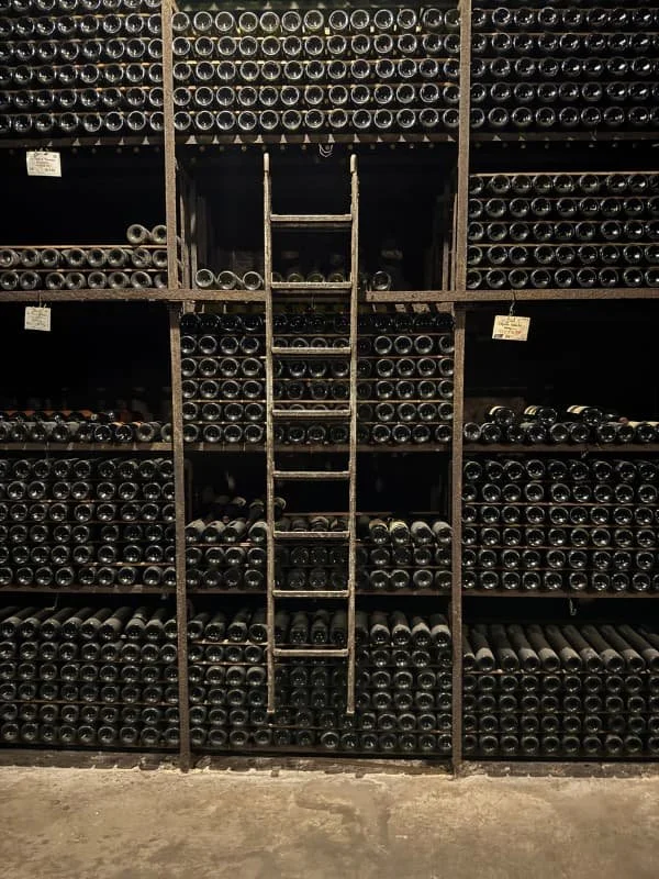 Riddling racks holding grower champagne bottles in a chalk cellar