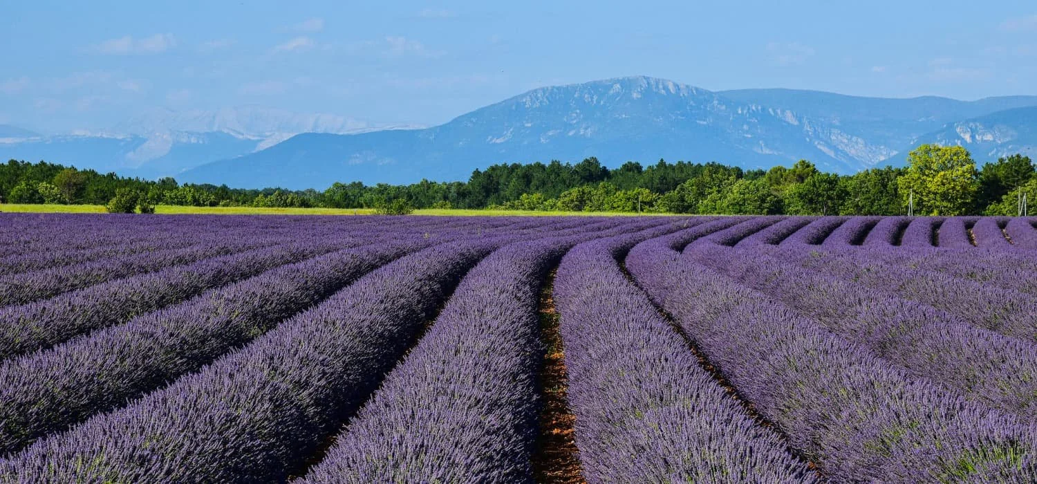 Southern France honeymoon — Luberon village at dusk by The Itinerary Architect
