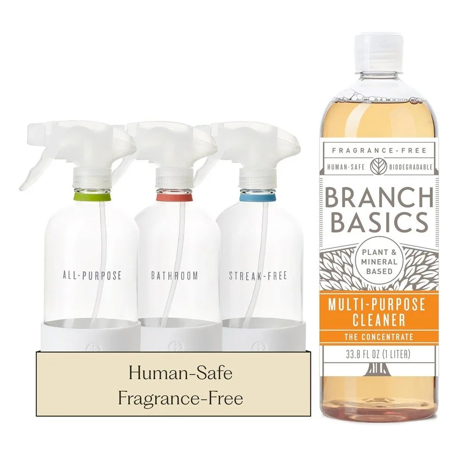 Branch Basics