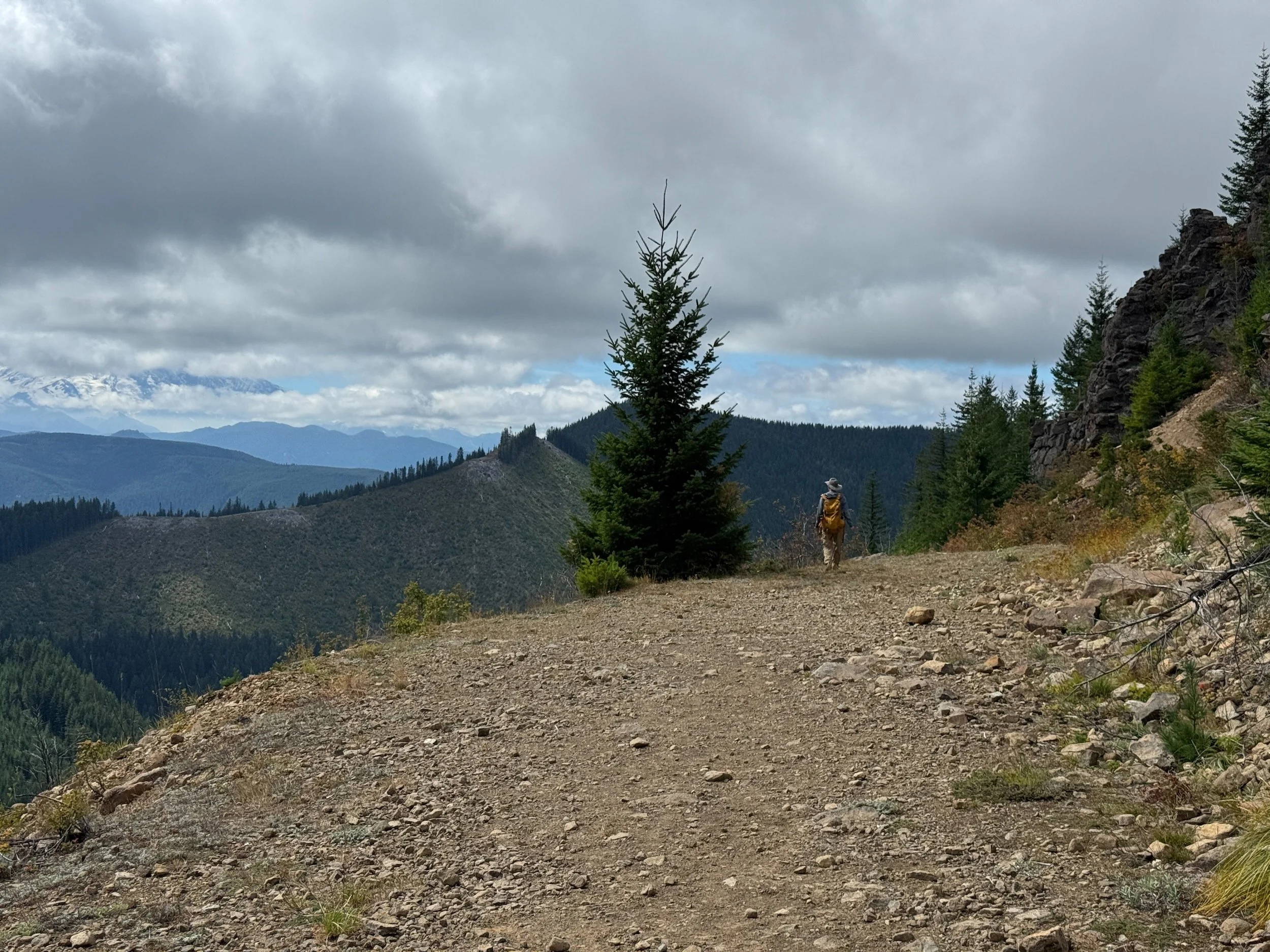 A trail companion crosses a broad rocky ledge beside a visually dominant lone Douglas-fir, with layered Cascade ridges beyond.