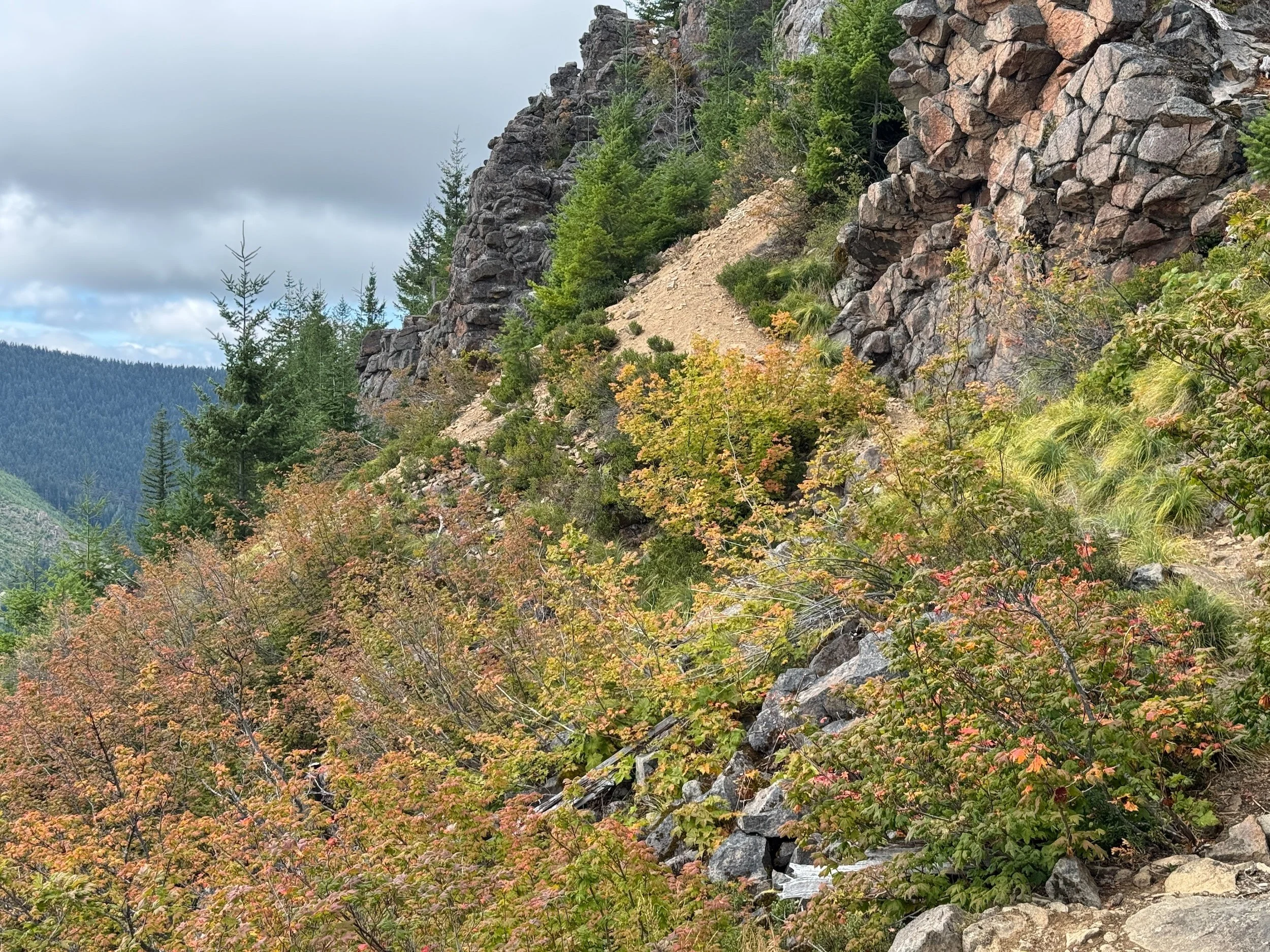 Rocky Kelly Butte bluff with shallow-soil vegetation and first warm autumn color.