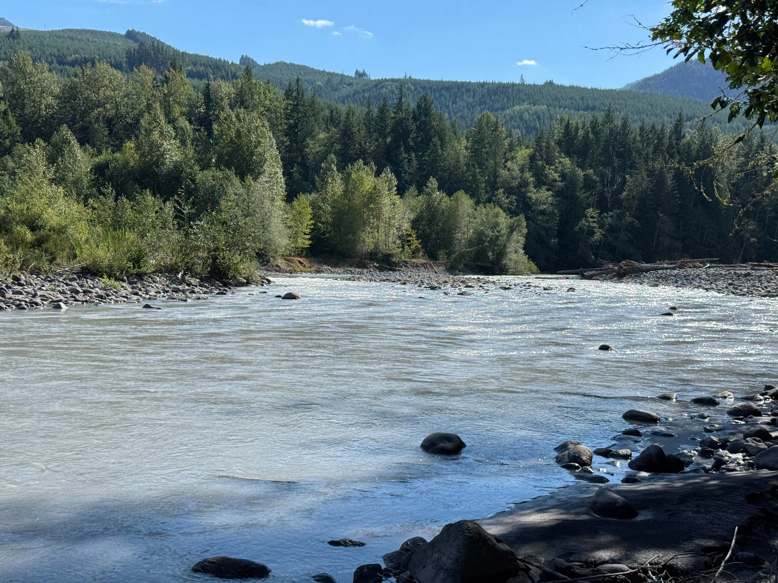Milky White River flowing past cobble bars, driftwood, and floodplain forest.