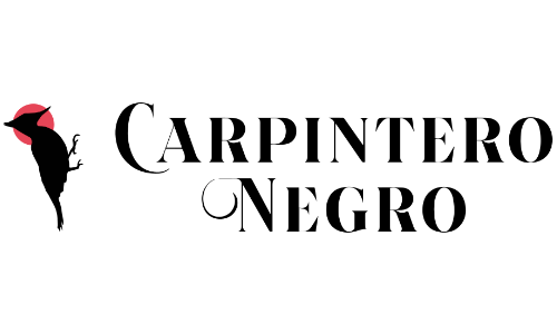 Carpintero Negro