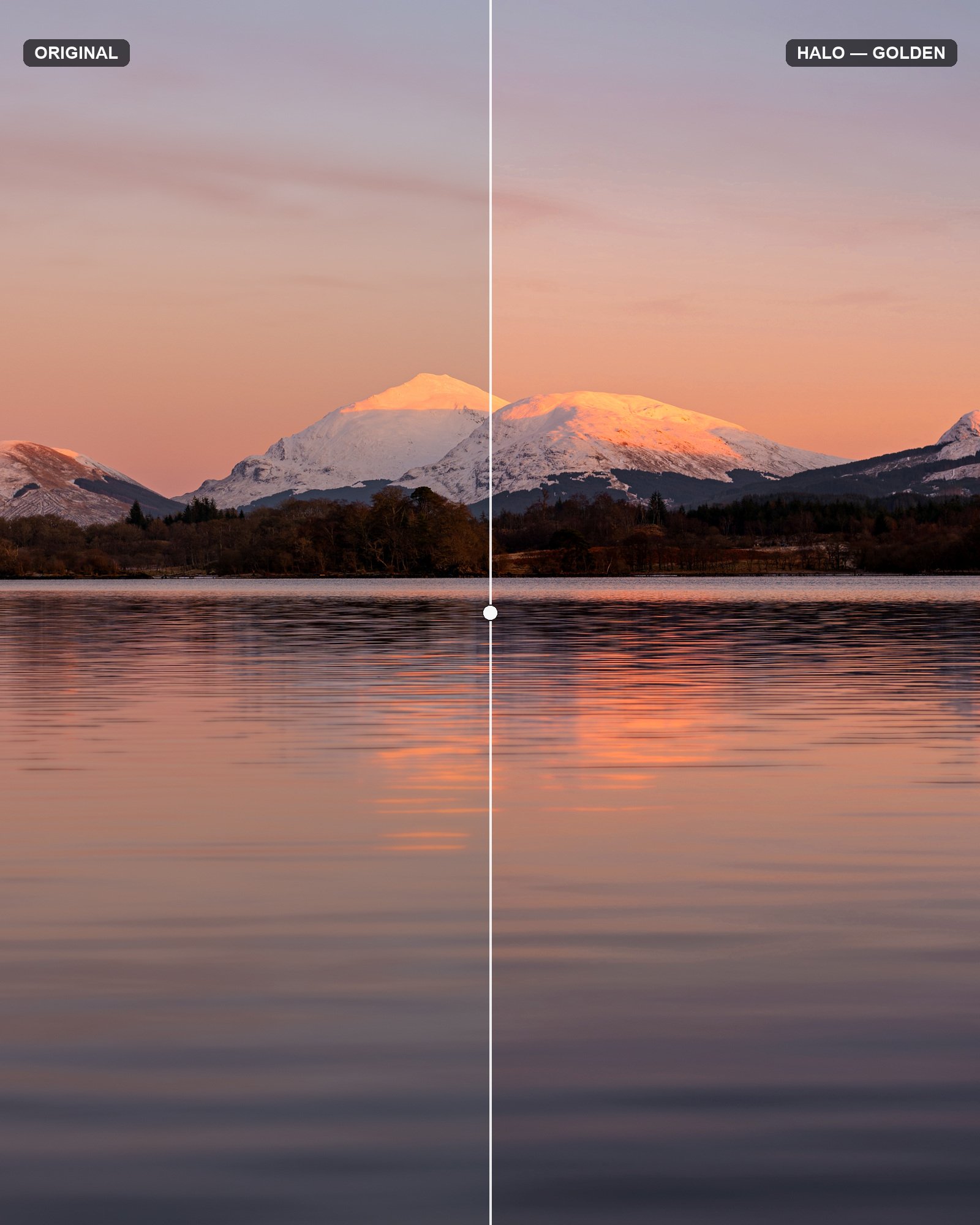 Halo before and after