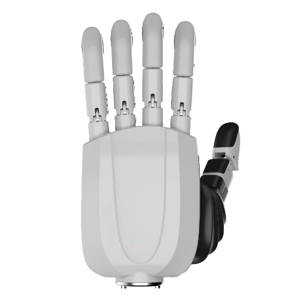 Realhand L6 Main Product Image