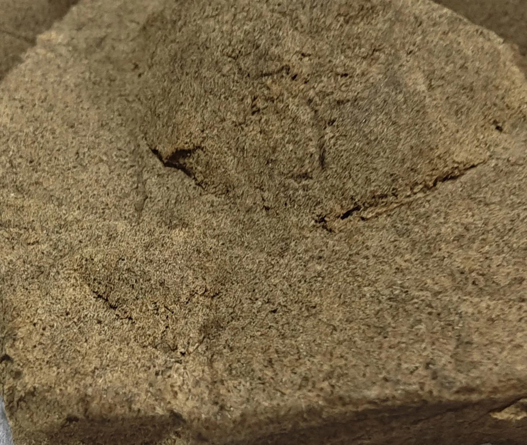 Dry-sift hash block — texture close up