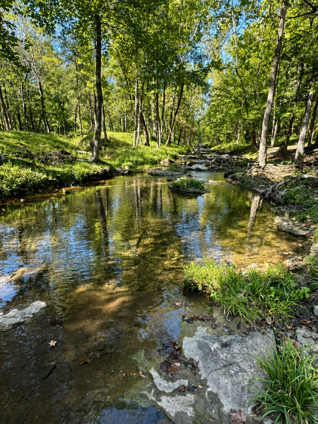 City of Calico Rock, Arkansas