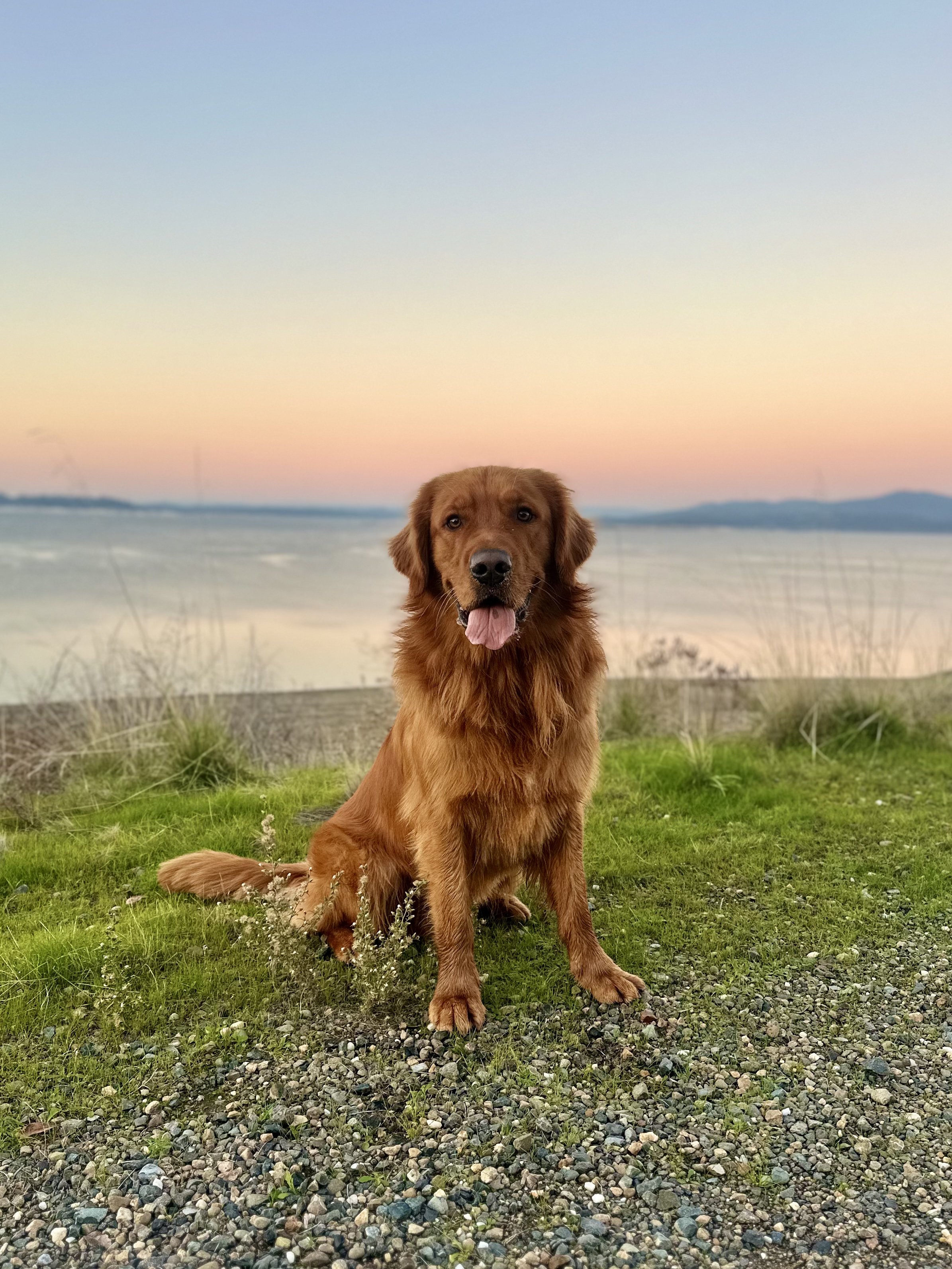 Boomer thriving