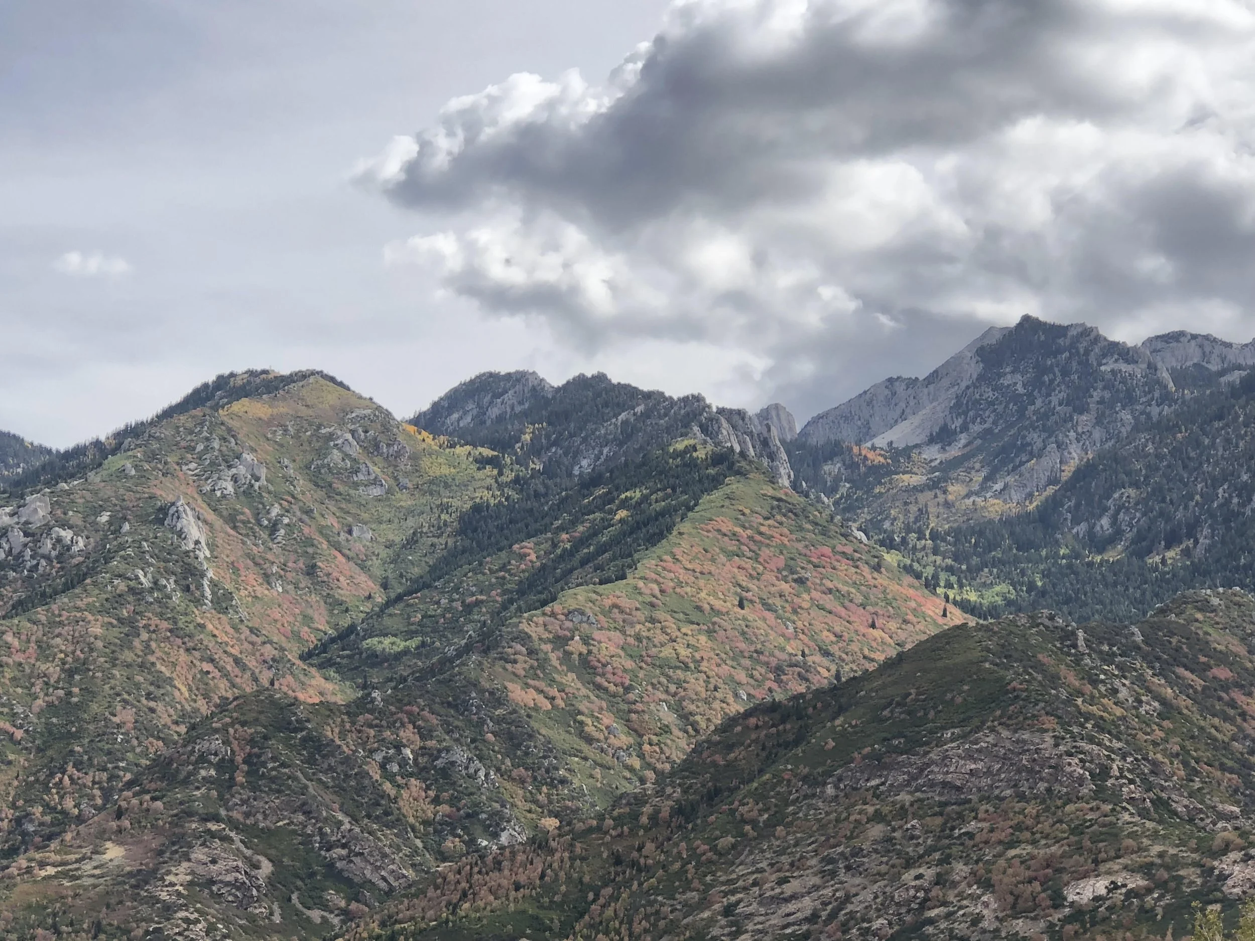 Bear Canyon Trail Run