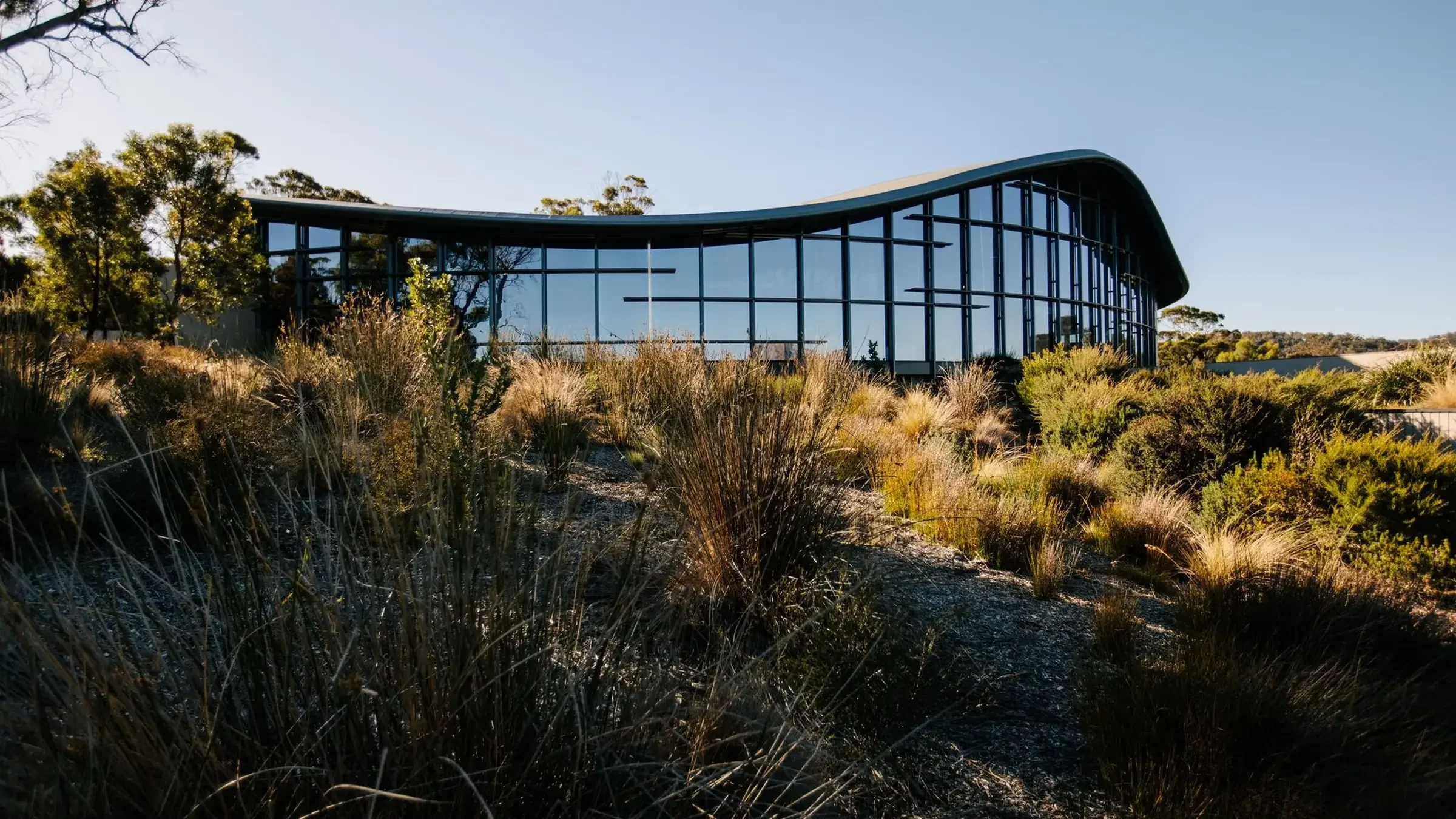 Resort accommodation, a holiday management rights complex with on-site letting
