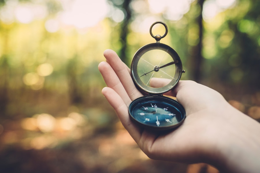 Close-up of a hand holding a compass in a natural outdoor setting with greenery in the background.