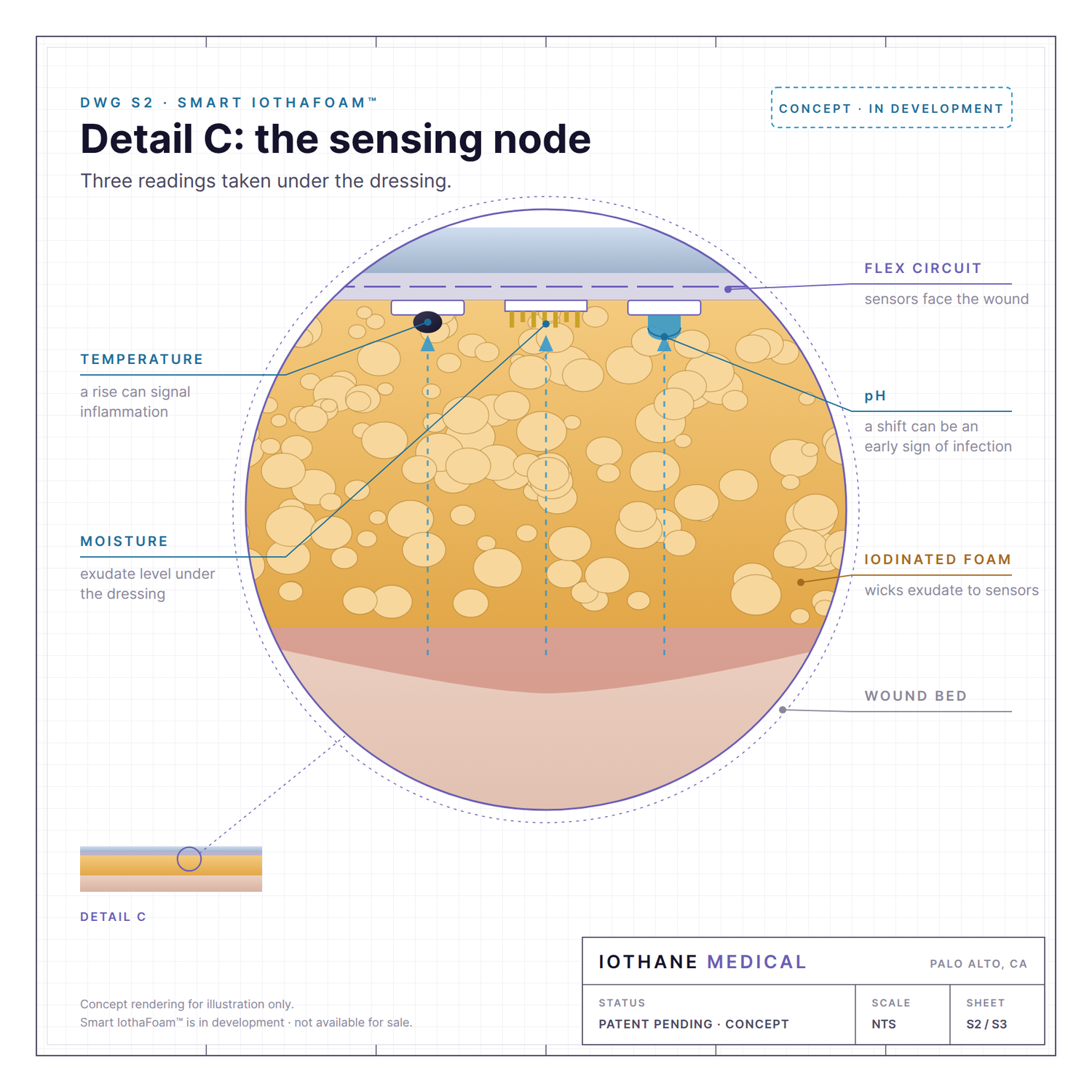 Concept drawing: magnified section of a sensing node measuring temperature, moisture and pH