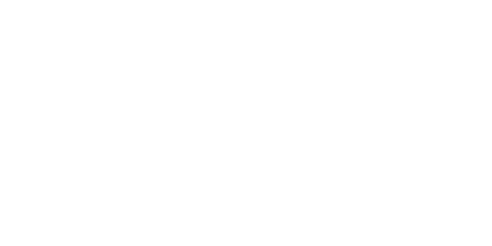 Bird's Eye