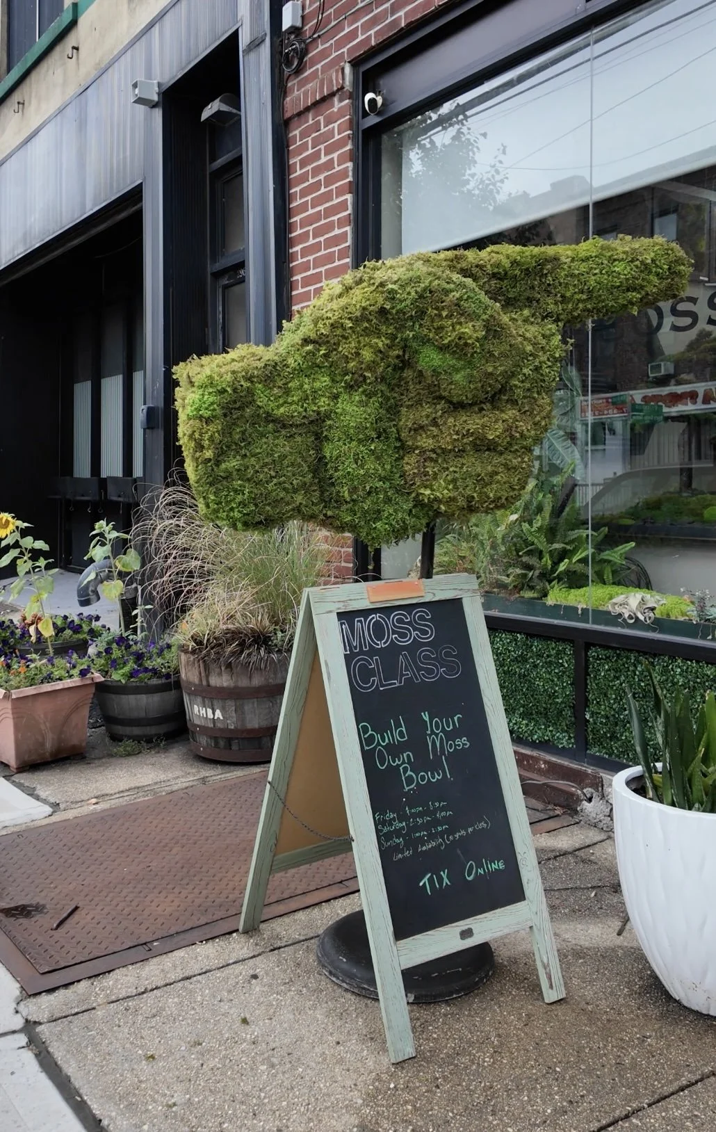 MossBoss storefront on Van Brunt Street with a moss covered pointing hand sign and the moss class chalkboard