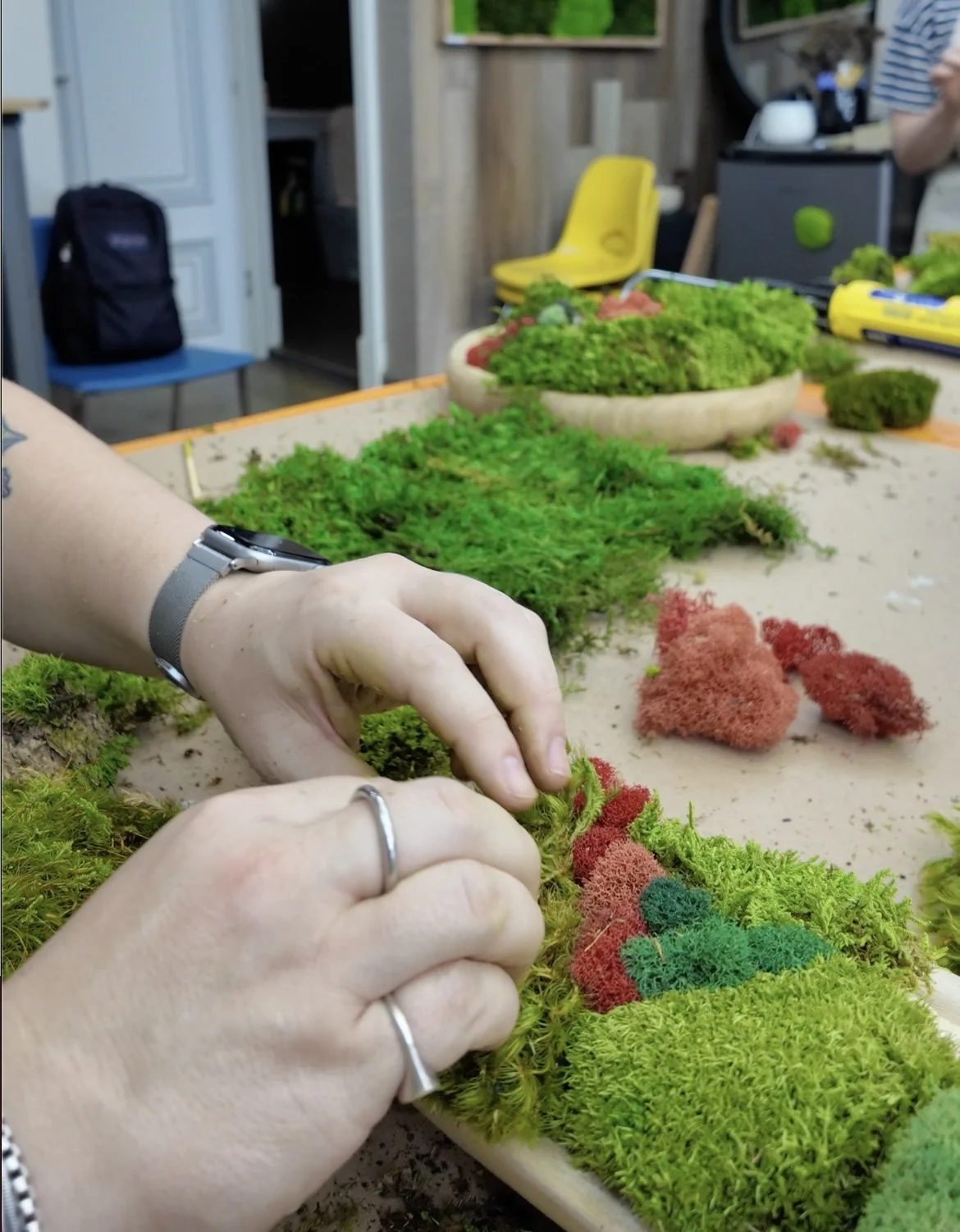 Close up of hands arranging red and green moss