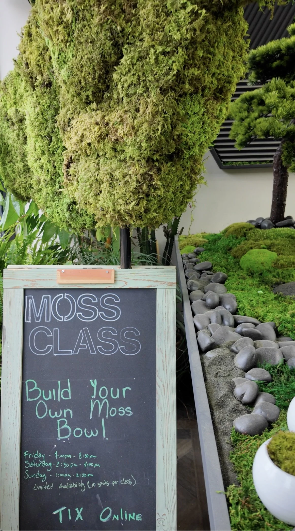 Sidewalk chalkboard sign for MossBoss build your own moss bowl class