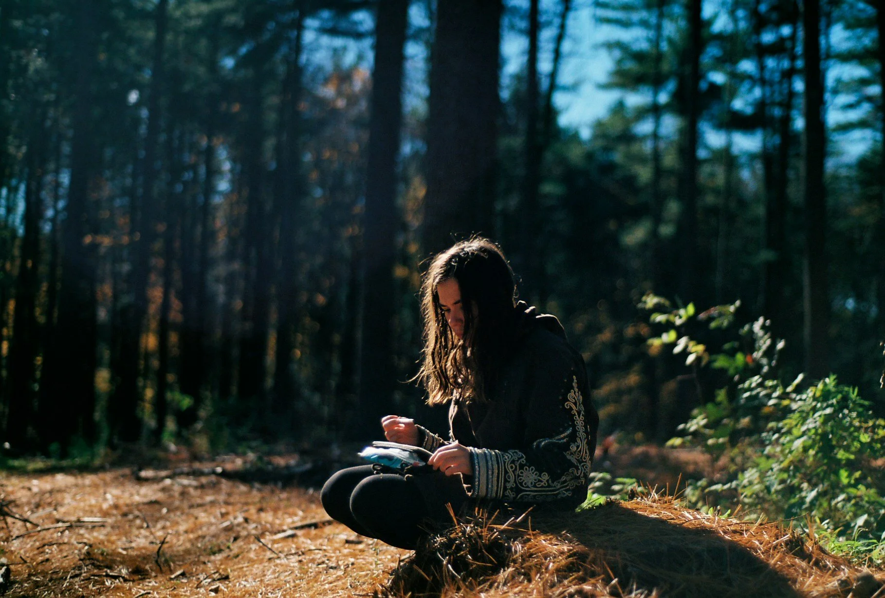 Nature journaling