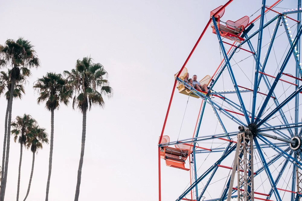 The Balboa Fun Zone Ferris wheel against a pale sky beside tall palm trees, a family riding in one of the cars