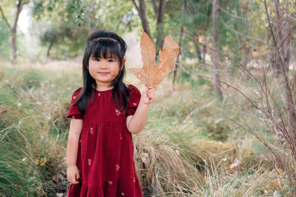 Young girl in a deep red dress holding up a large dried sycamore leaf at Yorba Regional Park in Anaheim