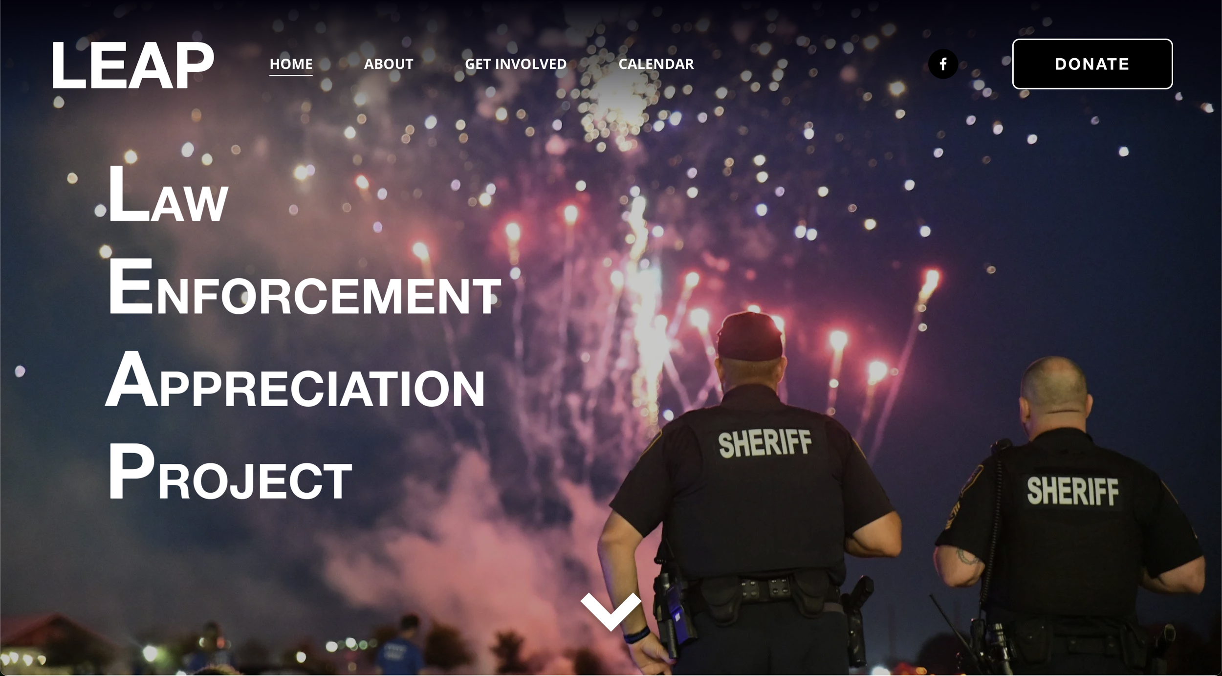 Nonprofit website example