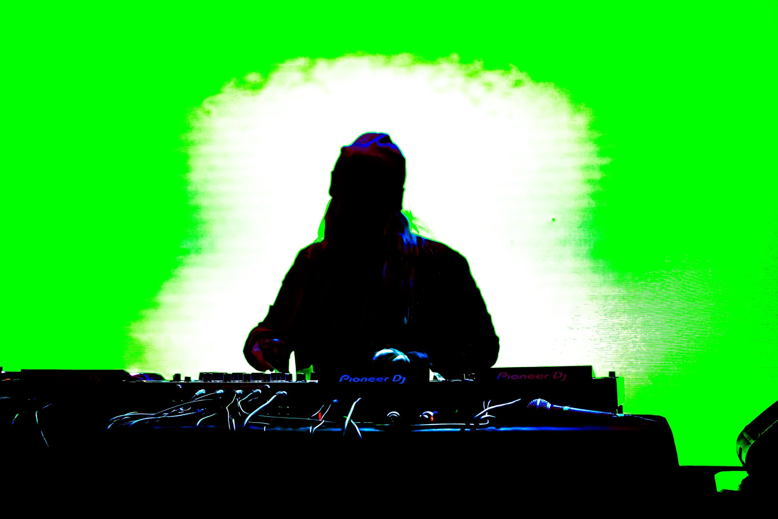 lonewoof press photo