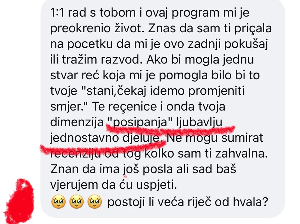 Poruka klijentice o programu 1 na 1 s Nikolinom