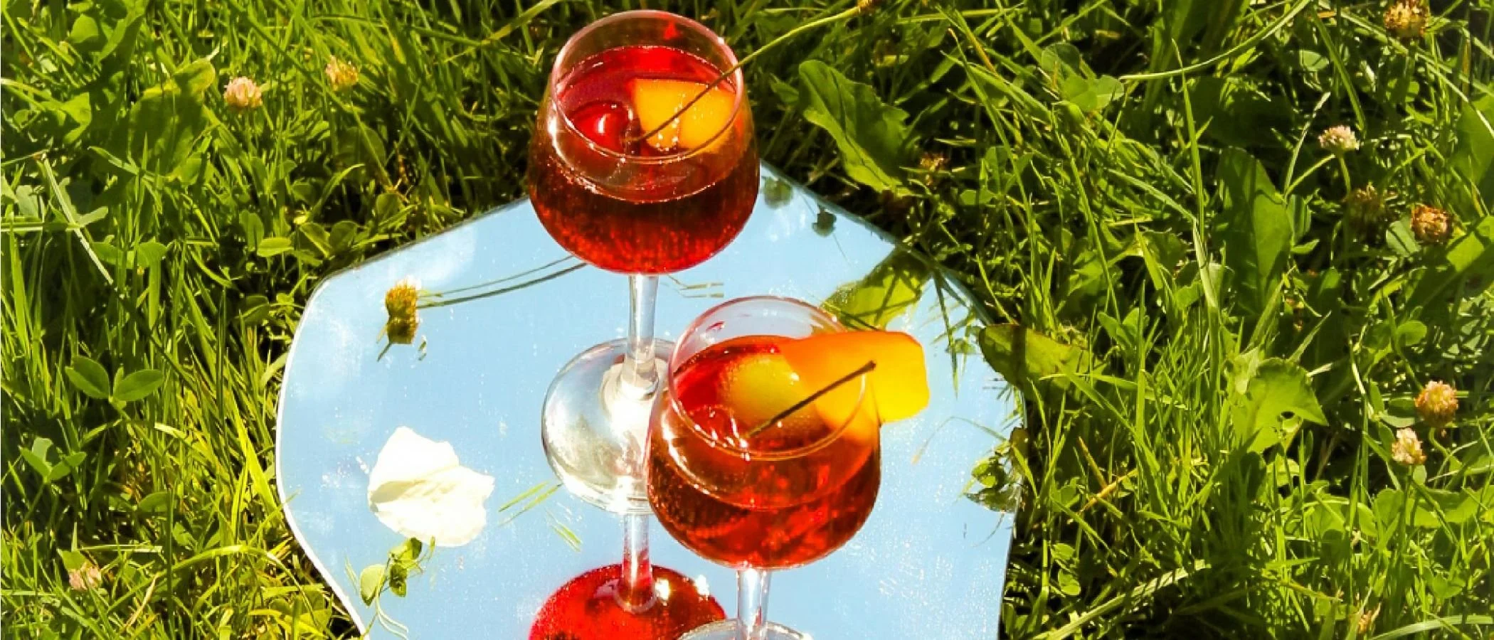 Campari Group Case