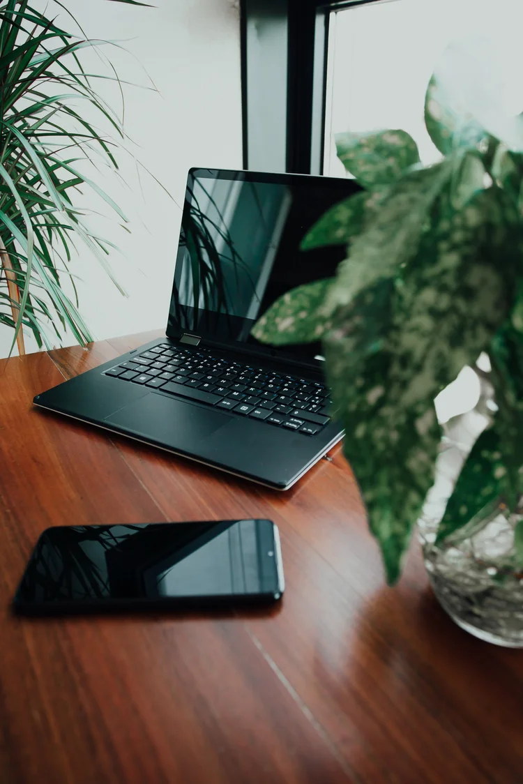 Telehealth