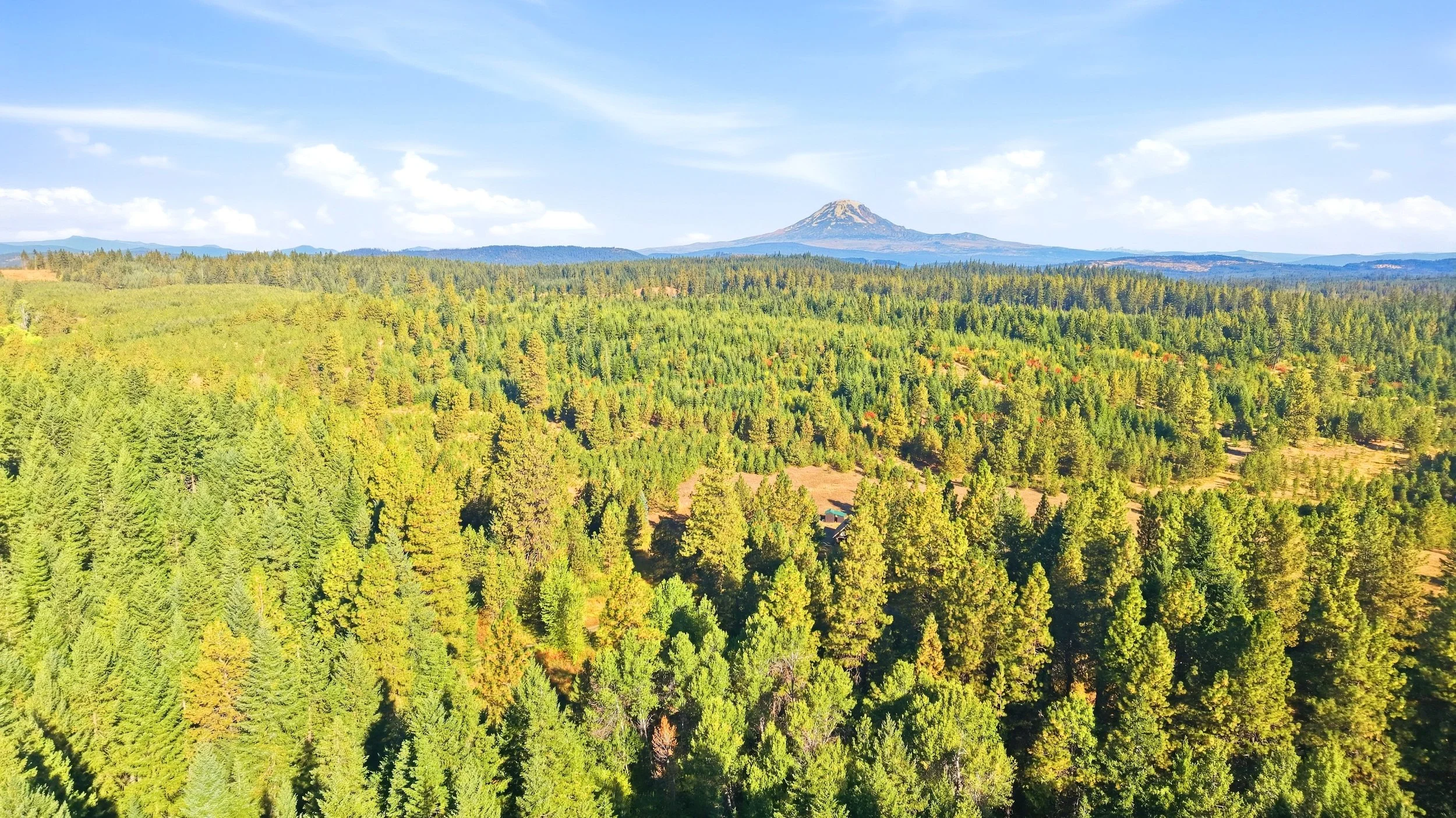 Listing aerial photograph of wooded land and the surrounding Appleton landscape