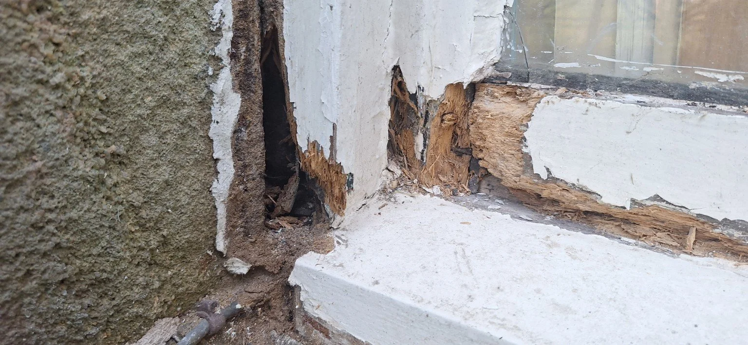 Close-up of deteriorated timber at the lower corner of a window before work