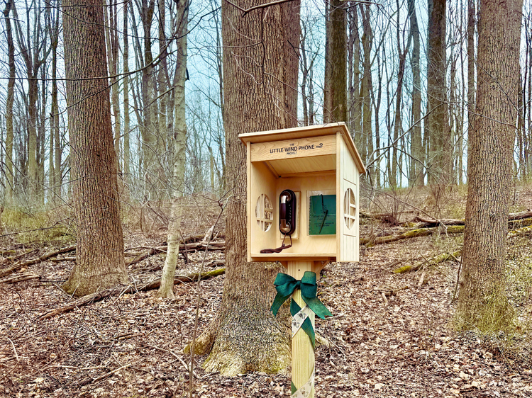 A Wind Phone stands among trees in the forest.