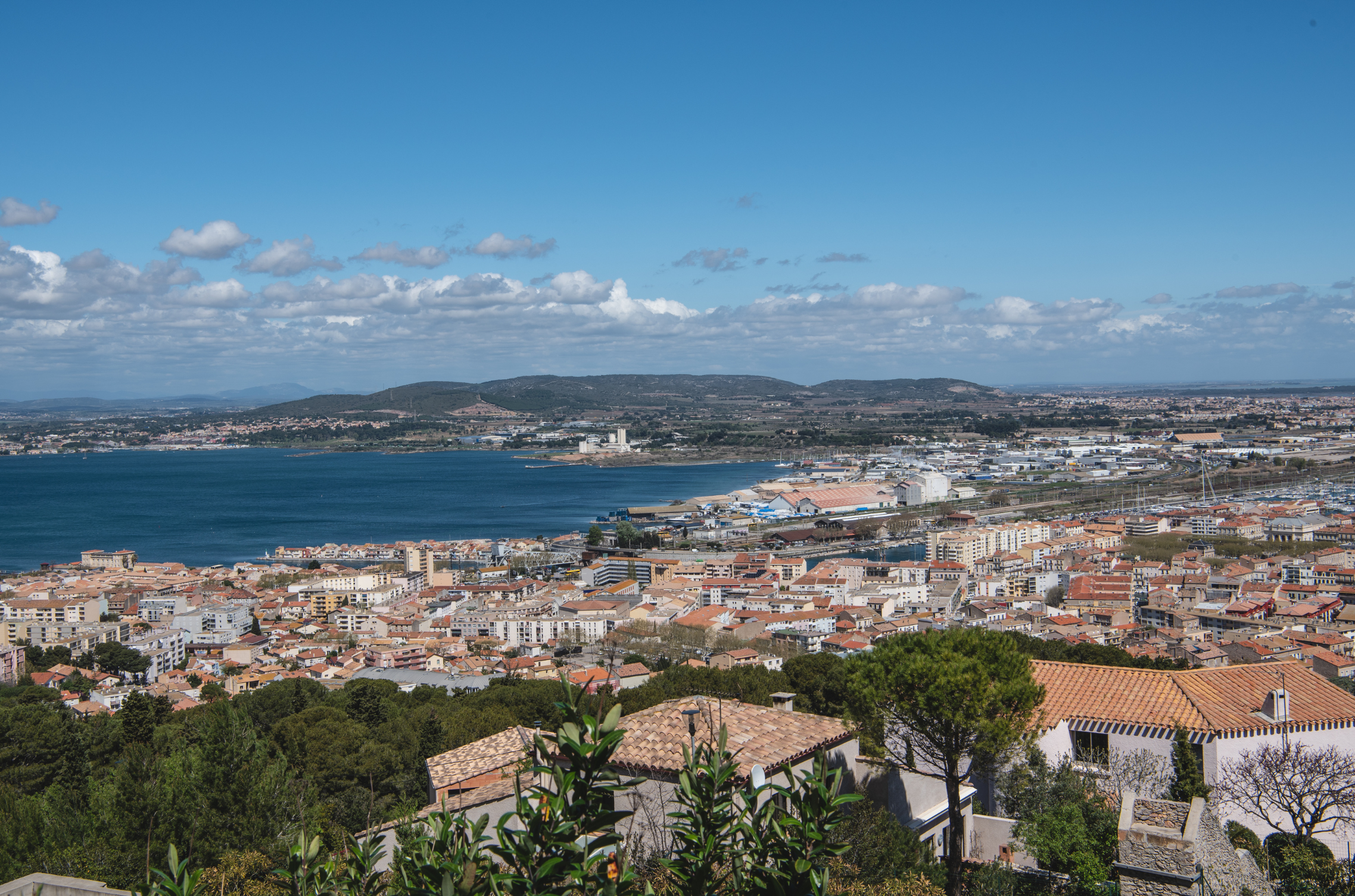 PerformPro Mauguio, formation BPJEPS APSF musculation fitness