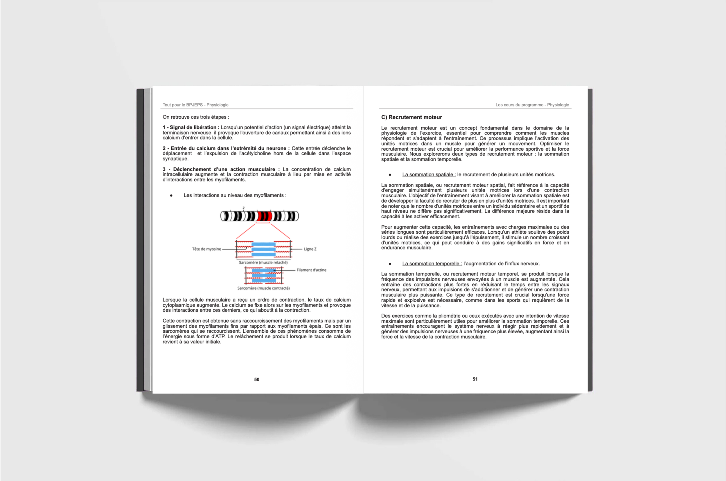 Cours BPJEPS myofilaments et recrutement moteur