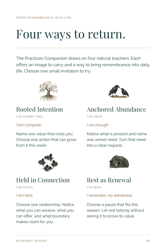 Page 6: four illustrated practices with a short invitation to try for each natural teacher.
