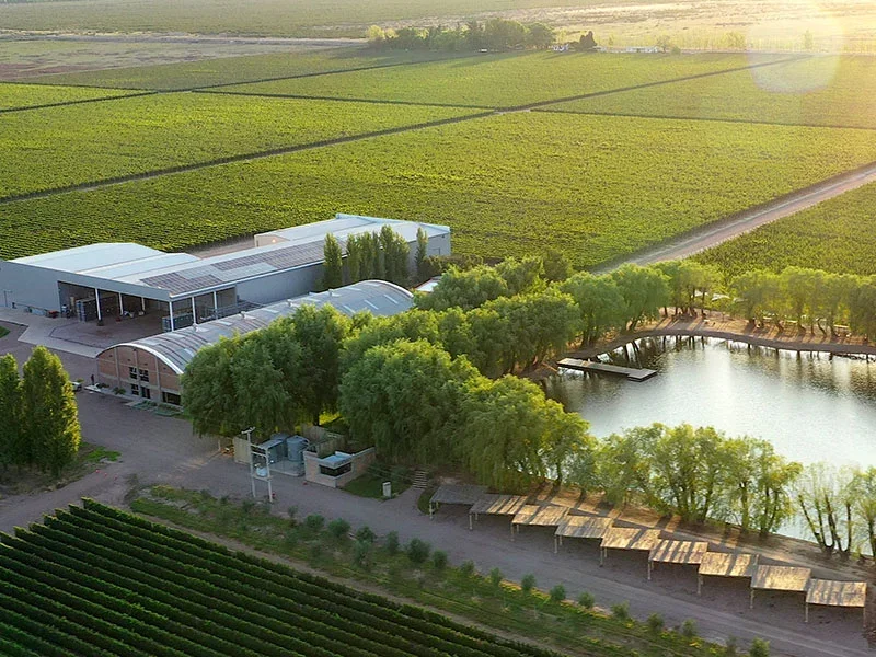 Luftaufnahme Weingut Ojo de Agua Mendoza – biologische Malbec Weinberge mit Kellereigebäude und Teich, Argentinien