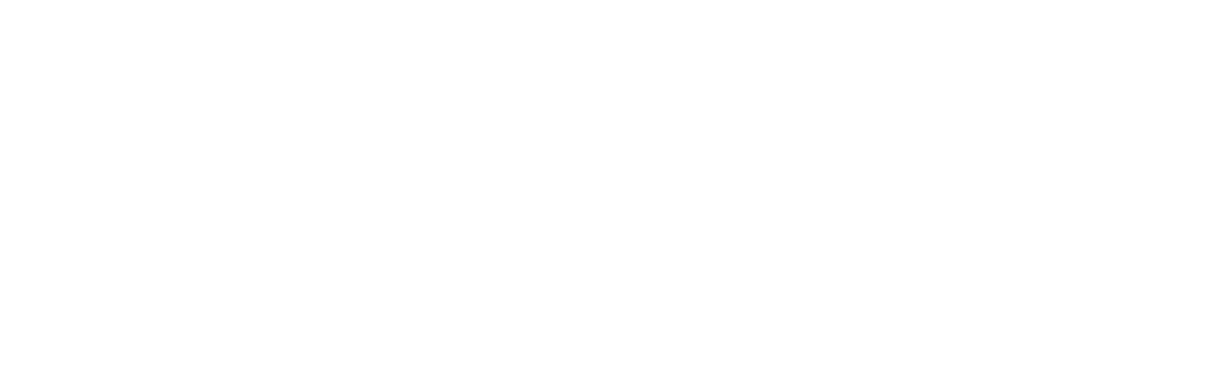 BiON Skincare