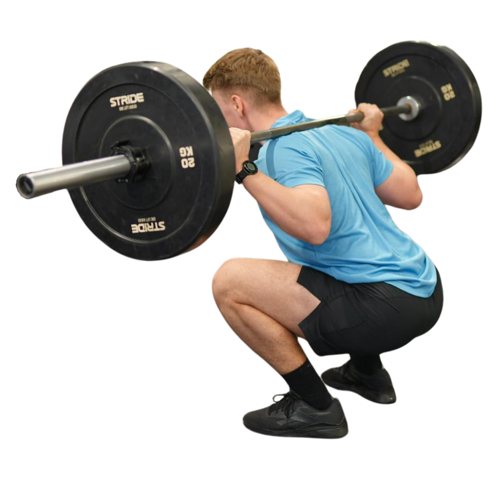 Barbell back squat demonstration