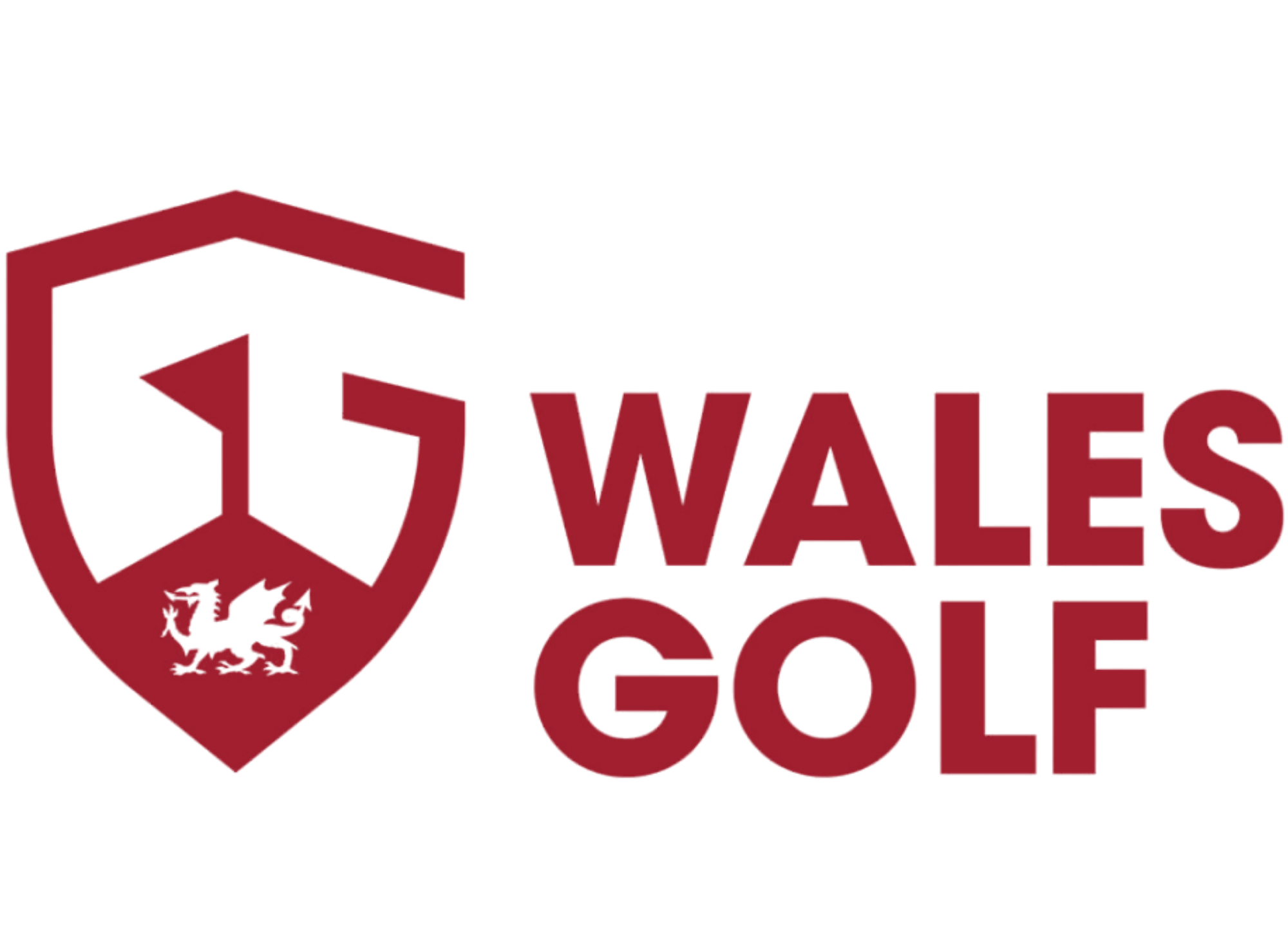 Wales Flag
